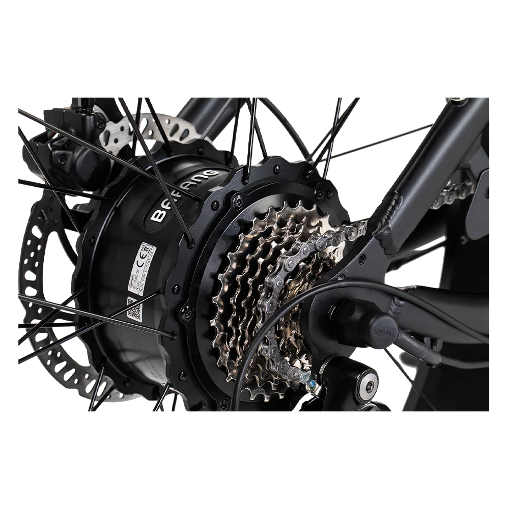 Revi Bikes Cheetah Plus Electric Bike 752574911830