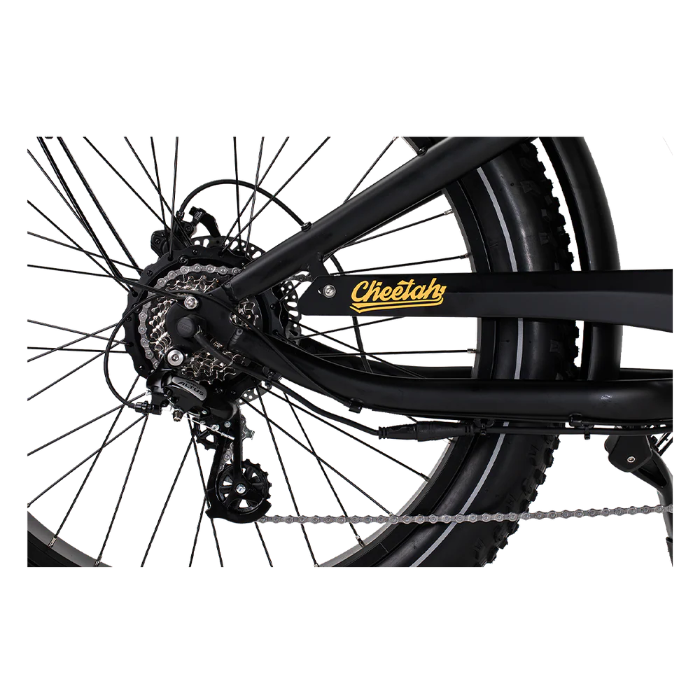 Revi Bikes Cheetah Plus Electric Bike 752574911830