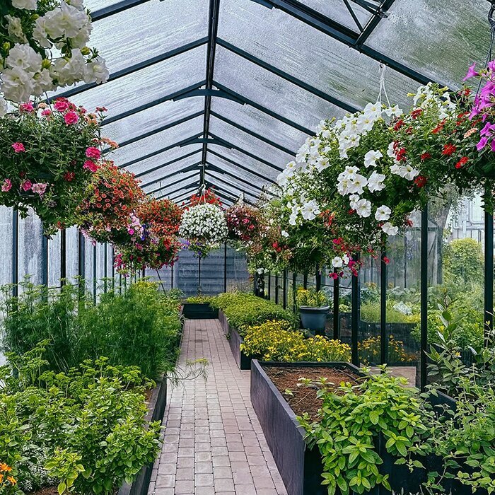 BloomCabin Classic Greenhouse
