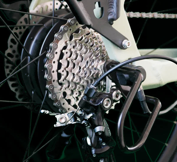 ENVO D50 Electric Bike END50R14A17C