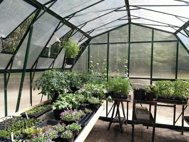 Grandio Summit 12x12 Greenhouse SUMMIT-1212