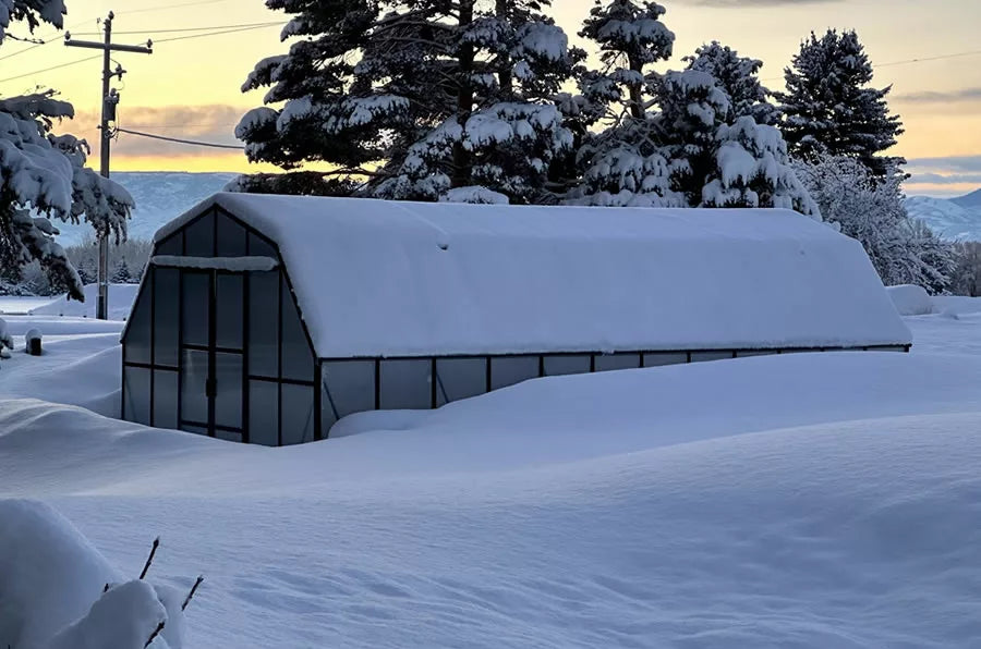 Grandio Summit 12x16 Greenhouse SUMMIT-1216
