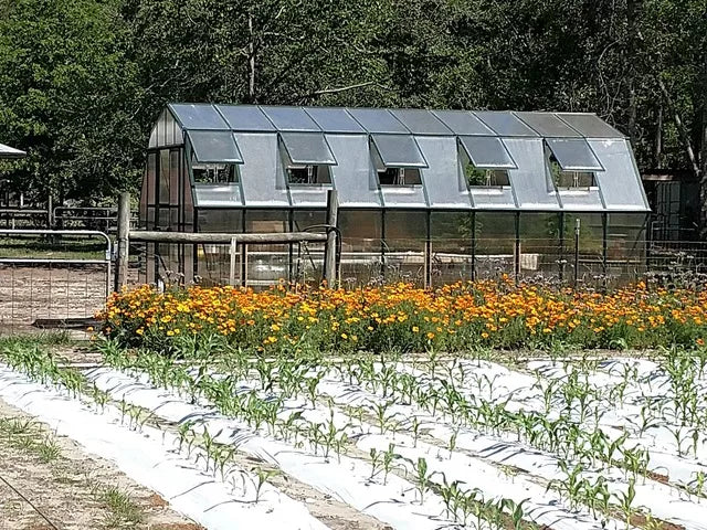 Grandio Summit 12x8 Greenhouse SUMMIT-128