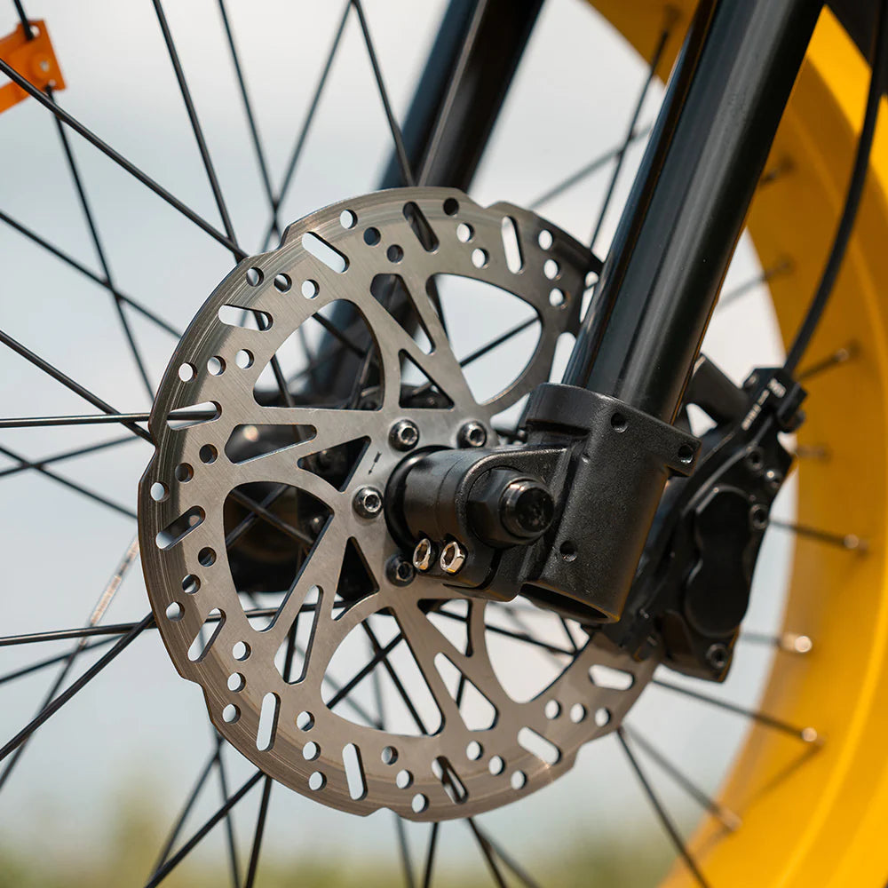 HappyRun G100 Pro Electric Bike HRG100PB