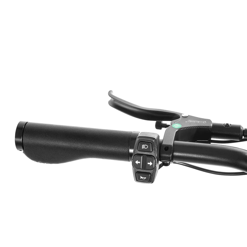 HappyRun G300 Pro Electric Bike HRG300PL