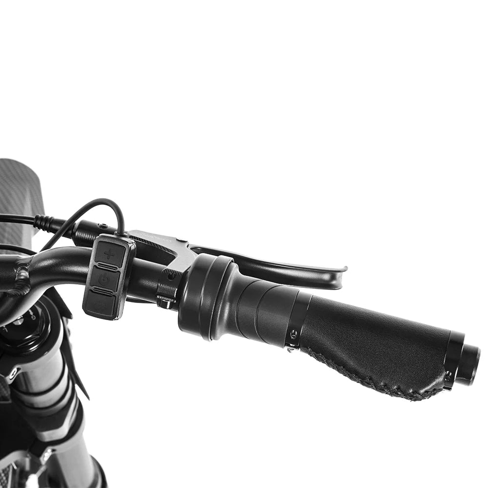 HappyRun G300 Pro Electric Bike HRG300PL