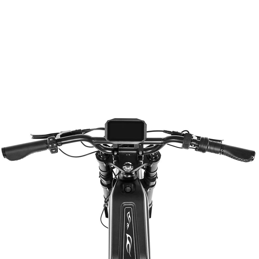 HappyRun G300 Pro Electric Bike HRG300PL