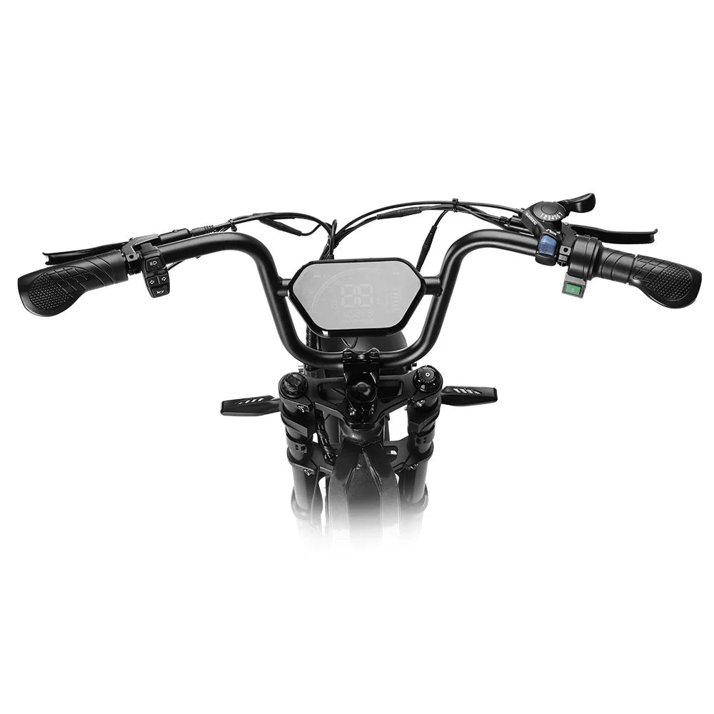 HappyRun G60 Pro Electric Bike HRG60PB