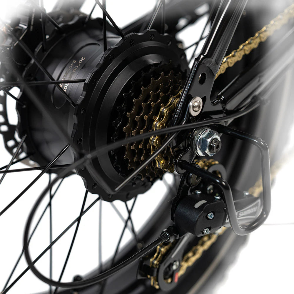 HappyRun G70 Electric Bike HRG70RB