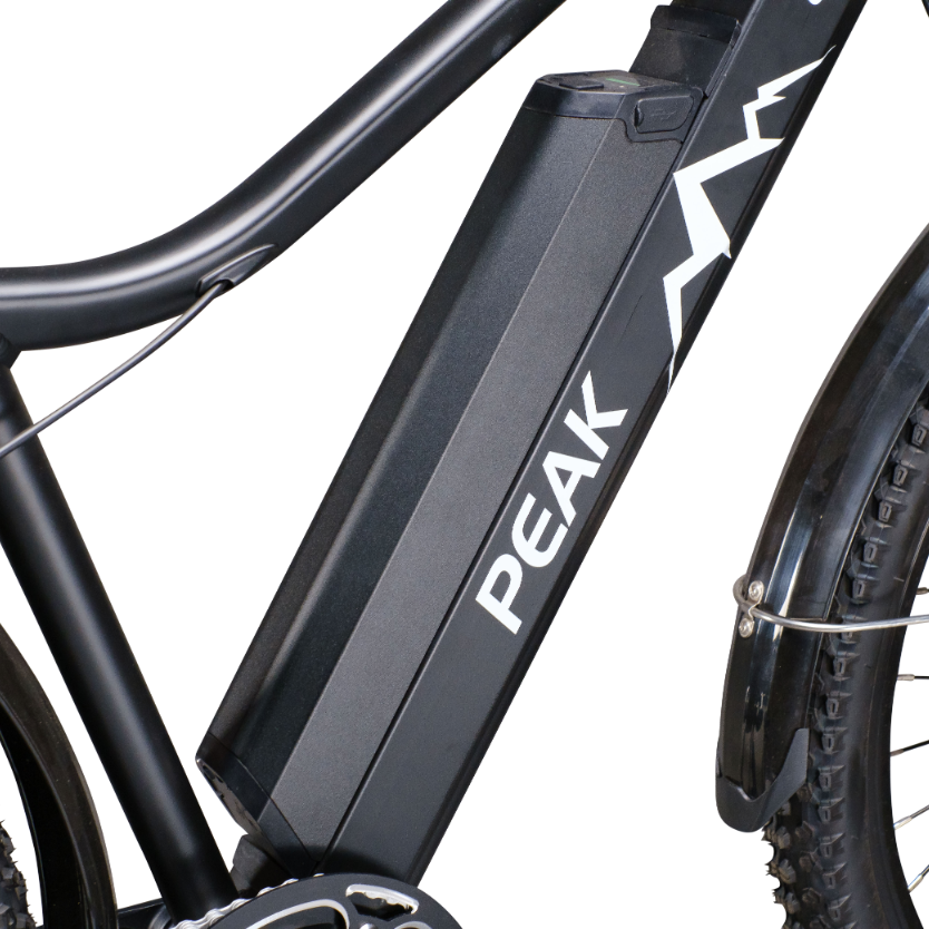 GIO Peak Electric Bike GPEAK20
