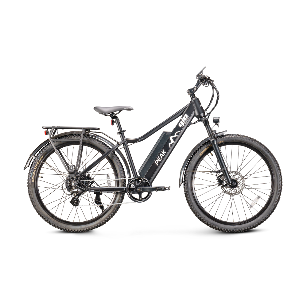 GIO Peak Electric Bike GPEAK20